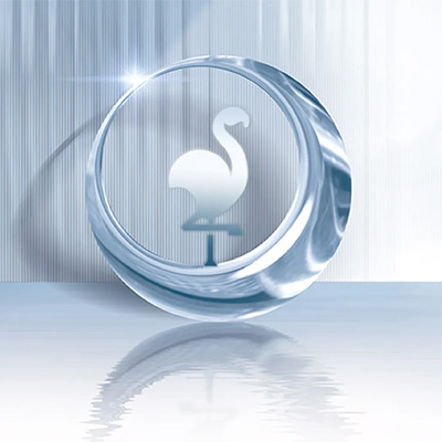 企业特辑 | 期待和大家一起向内探寻向外生长